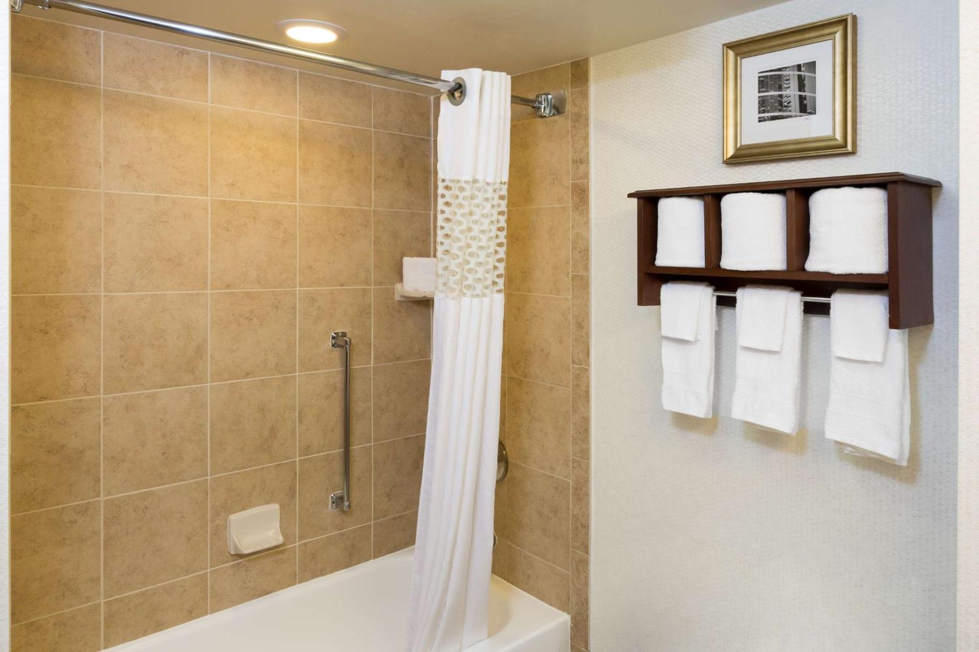 Hampton Inn Houston Near The Galleria Екстериор снимка